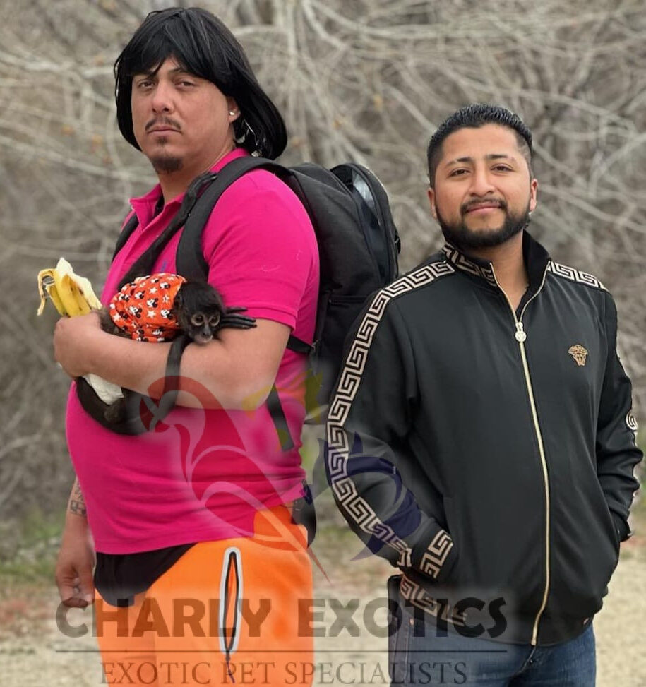 Imagen de WhatsApp 2023-04-21 a las 09.56.18